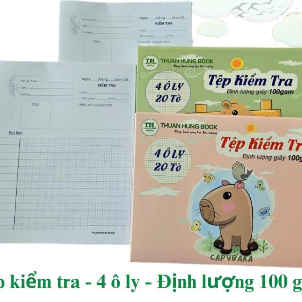 Tệp Giấy Kiểm Tra 4 Ô Ly / 5 Ô Ly